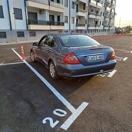 Anica تريبينيي